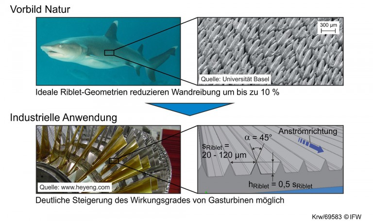 Schleifen nach dem Biberzahn-Prinzip - Zerspanungstechnik.de