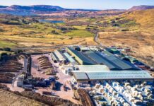Das Unternehmen ECC Timber Products hat seinen Hauptsitz in Corr na Móna Bild: ECC Timber