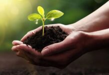 Nachhaltig auch in Tschechien