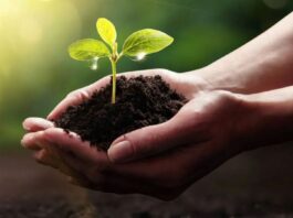 Nachhaltig auch in Tschechien