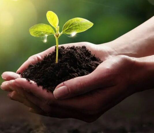 Nachhaltig auch in Tschechien