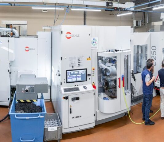 Der Roboter mit der Königskrone