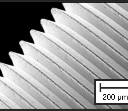 Magnesiumimplantate im Fokus